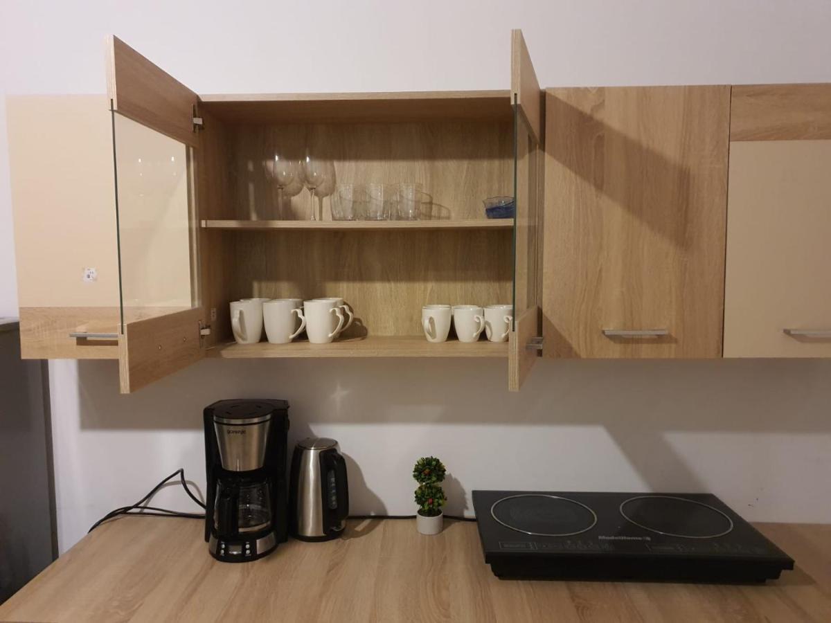 Apartament Enescu Timișoara Zewnętrze zdjęcie